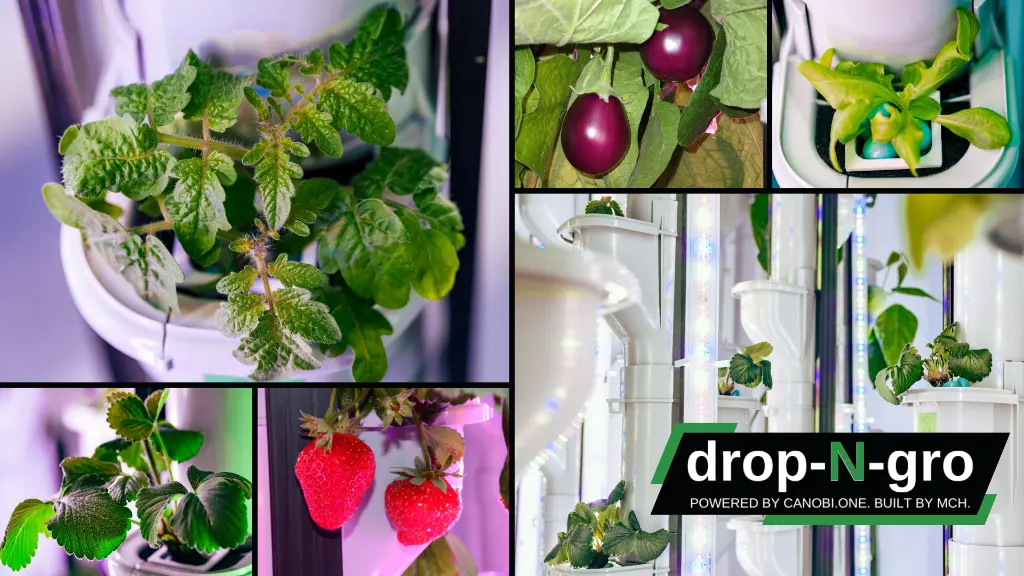 Drop-N-Grow