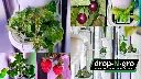 Drop-N-Grow