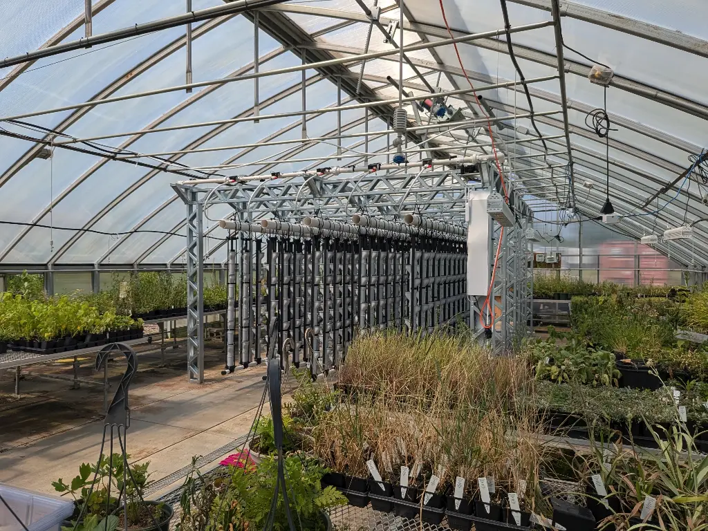 VF.1000 (The Greenhouse Foundation Starter Pack)