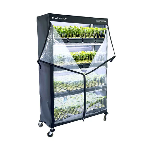 [SP0074] Athena VPDome 48'' x 72'' x 18''