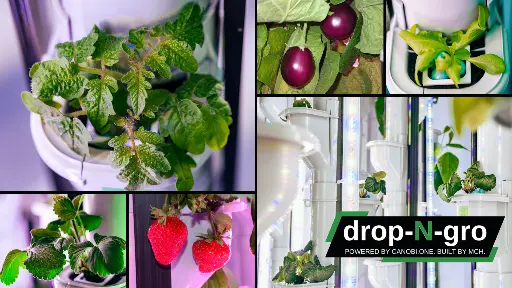Drop-N-Grow
