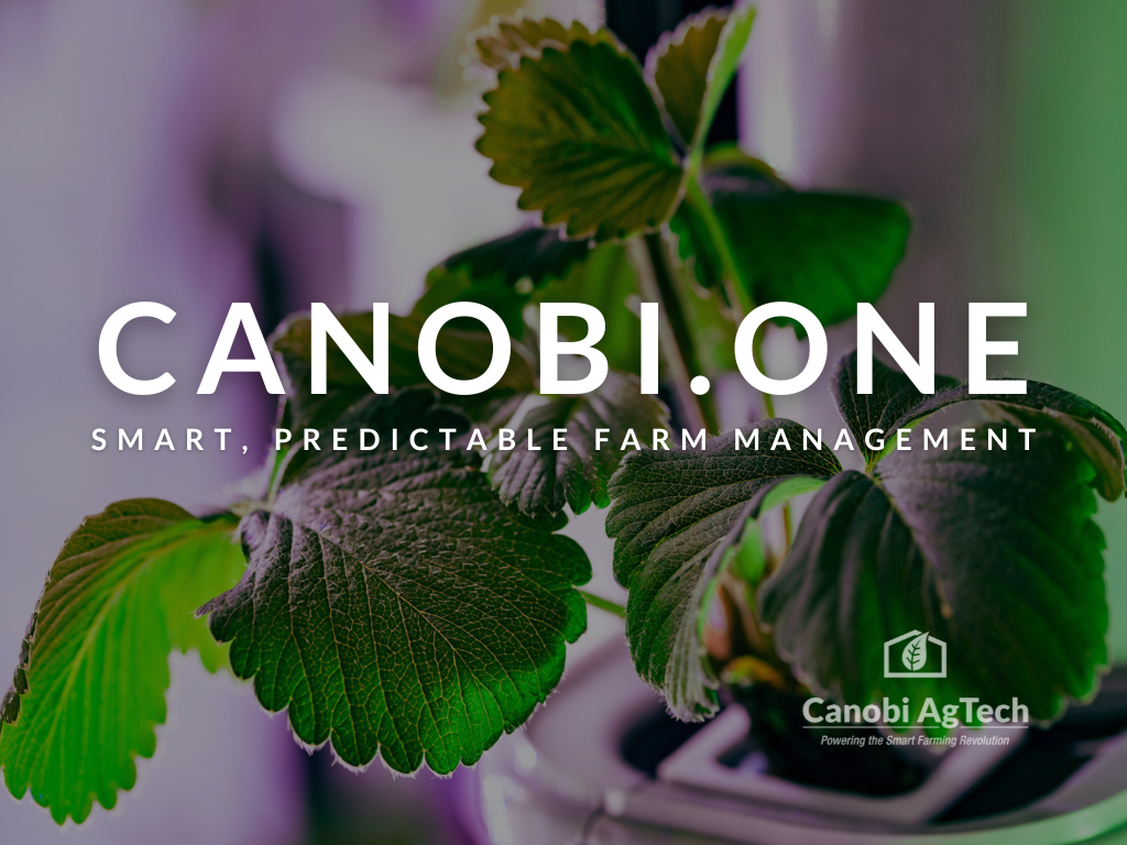 canobi one smart predictable farm management