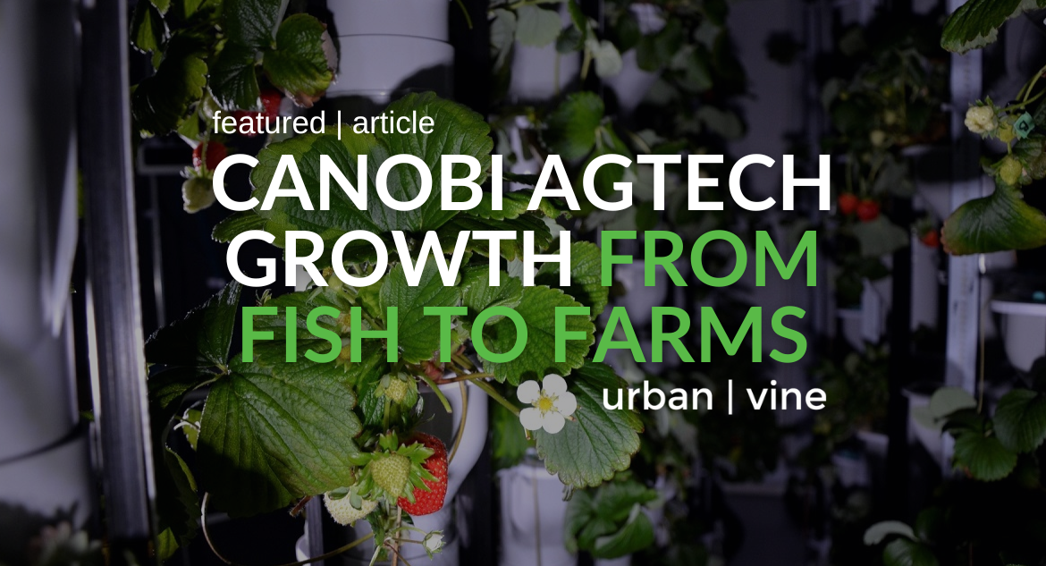 canobi agtech urban vine featured article