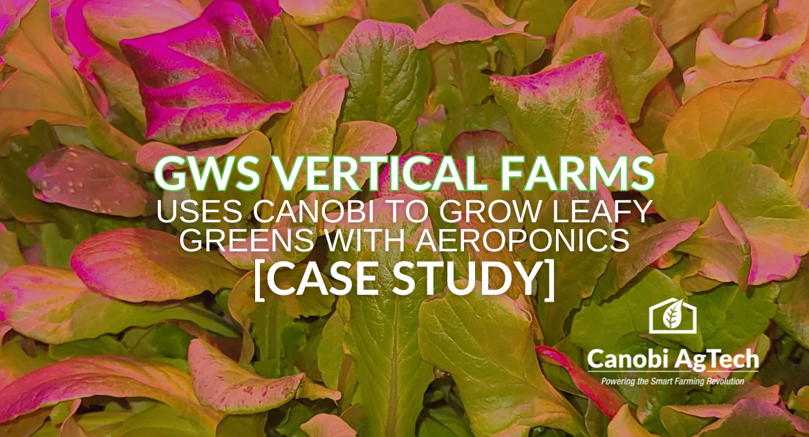 gws vertical farms case study