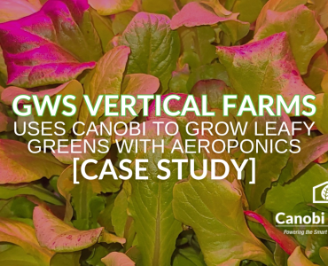 gws vertical farms case study