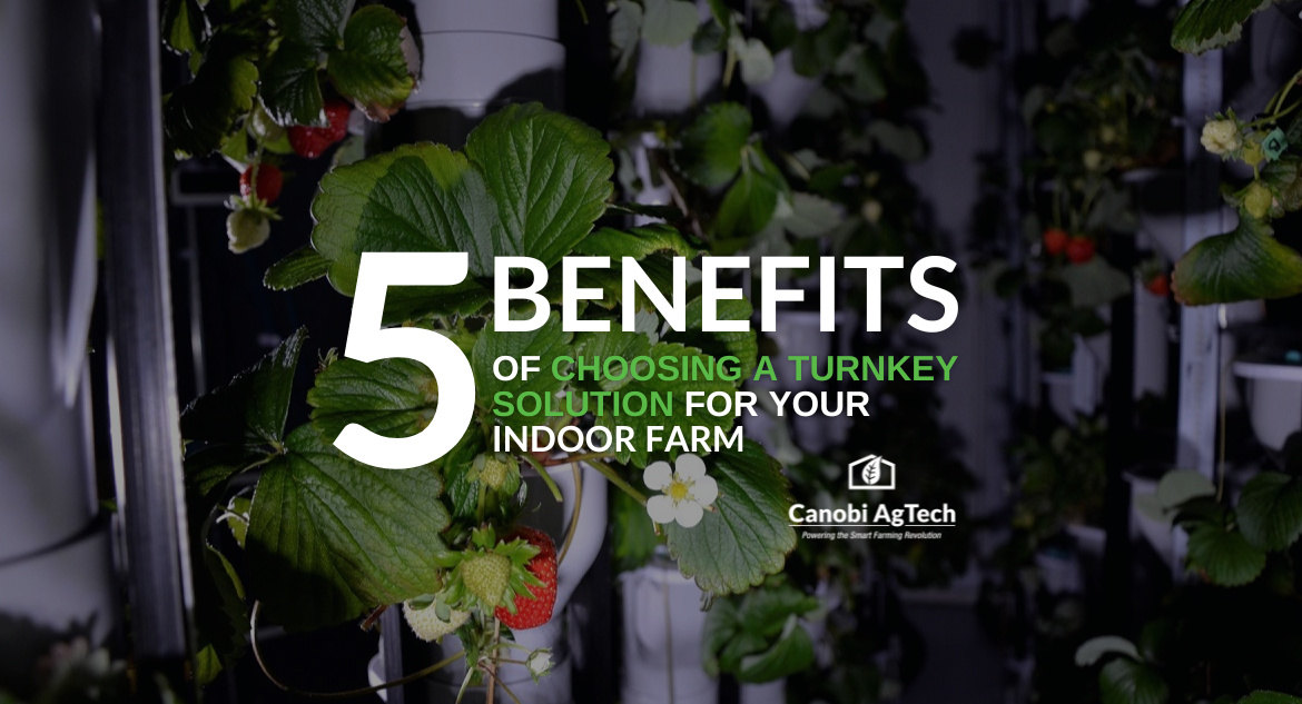 5 benefits turnkey indoor farm