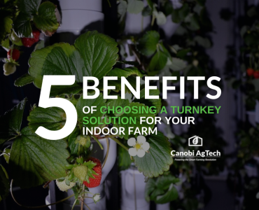 5 benefits turnkey indoor farm